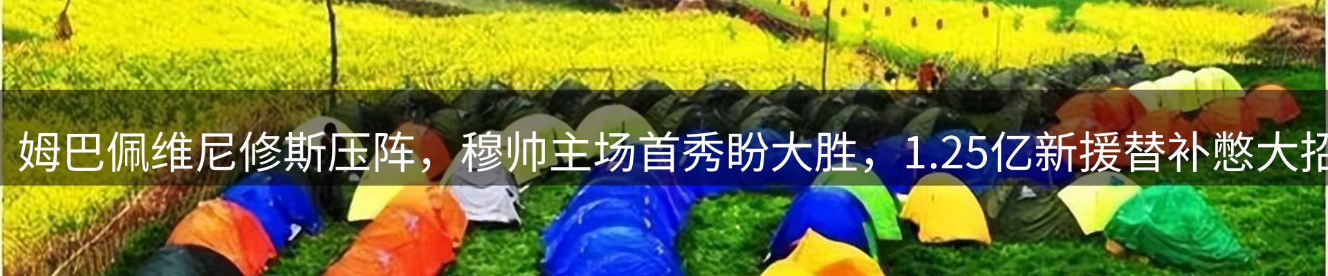 平台资讯