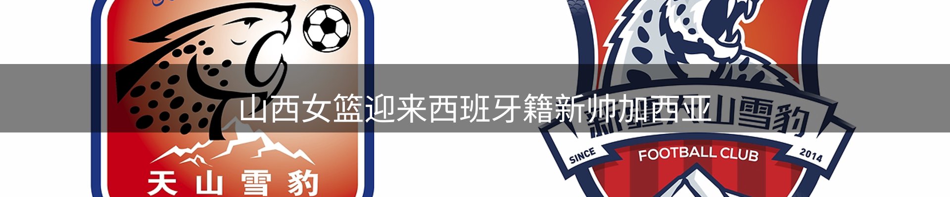 平台资讯