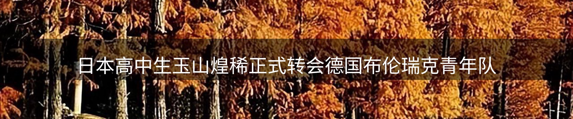 平台资讯